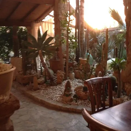 Apartamento - A63926 Felline